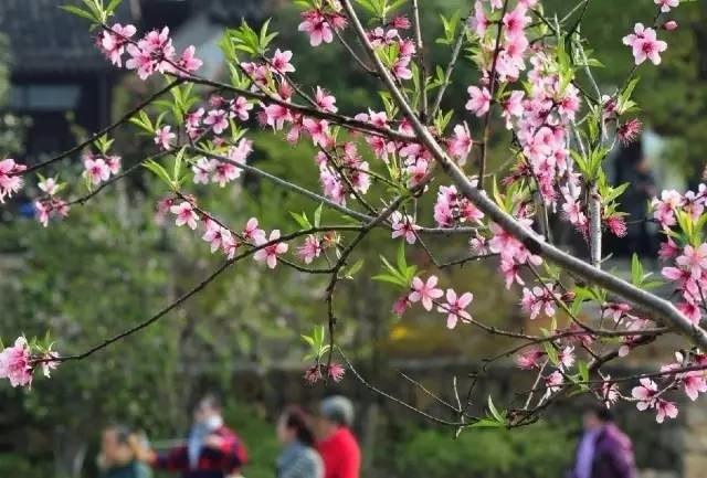 通州商住项目火热背后:限购传闻之下的投资泡沫-太阳成集团tyc7111cc(图1) 太阳成集团tyc7111cc