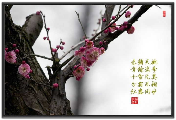 太阳成集团tyc7111cc|首开全年销售251.6亿元 回款253.4亿元(图1) 太阳成集团tyc7111cc