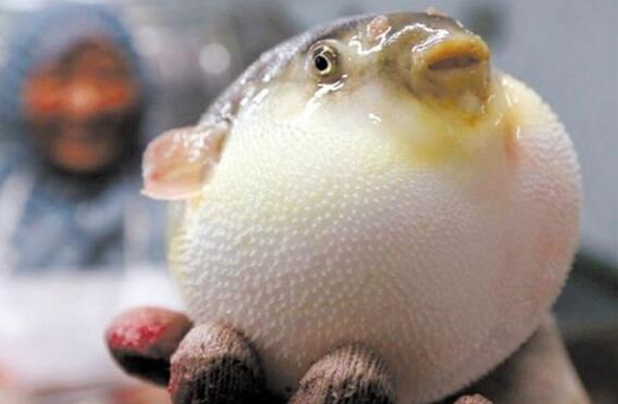 太阳成集团tyc7111cc