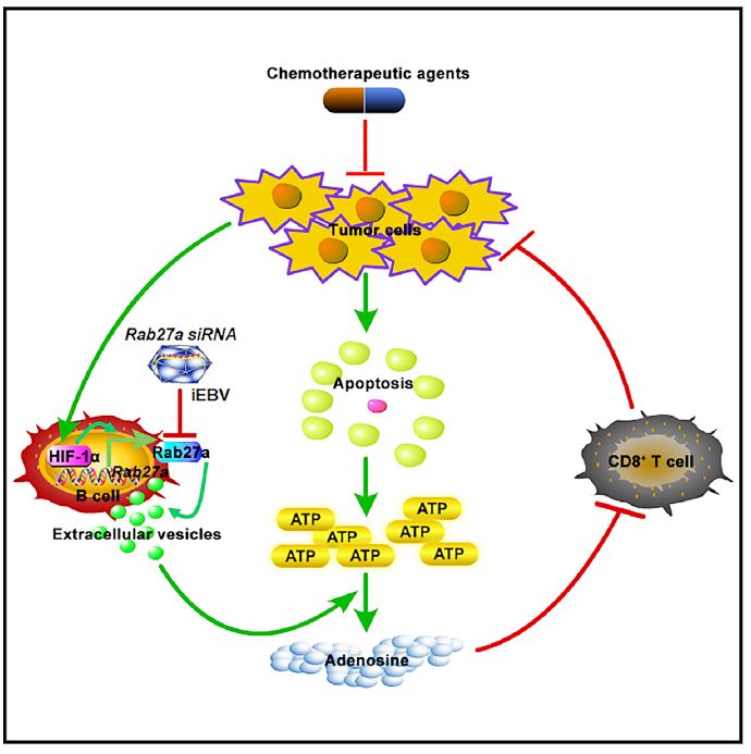 【太阳成集团tyc7111cc】酒店为上班族设午睡钟点房酒店员工(图3) 太阳成集团tyc7111cc