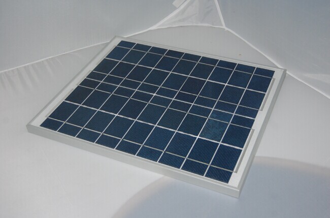 水煎豆沙包的做法|太阳成集团tyc7111cc(图1) 太阳成集团tyc7111cc