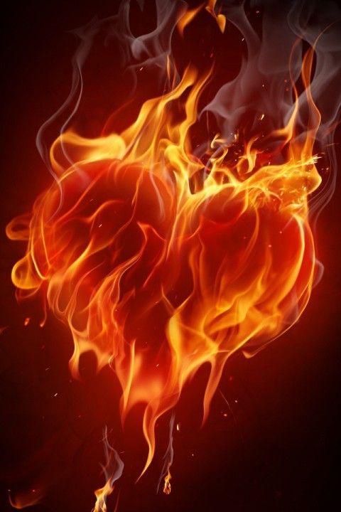 太阳成集团tyc7111cc