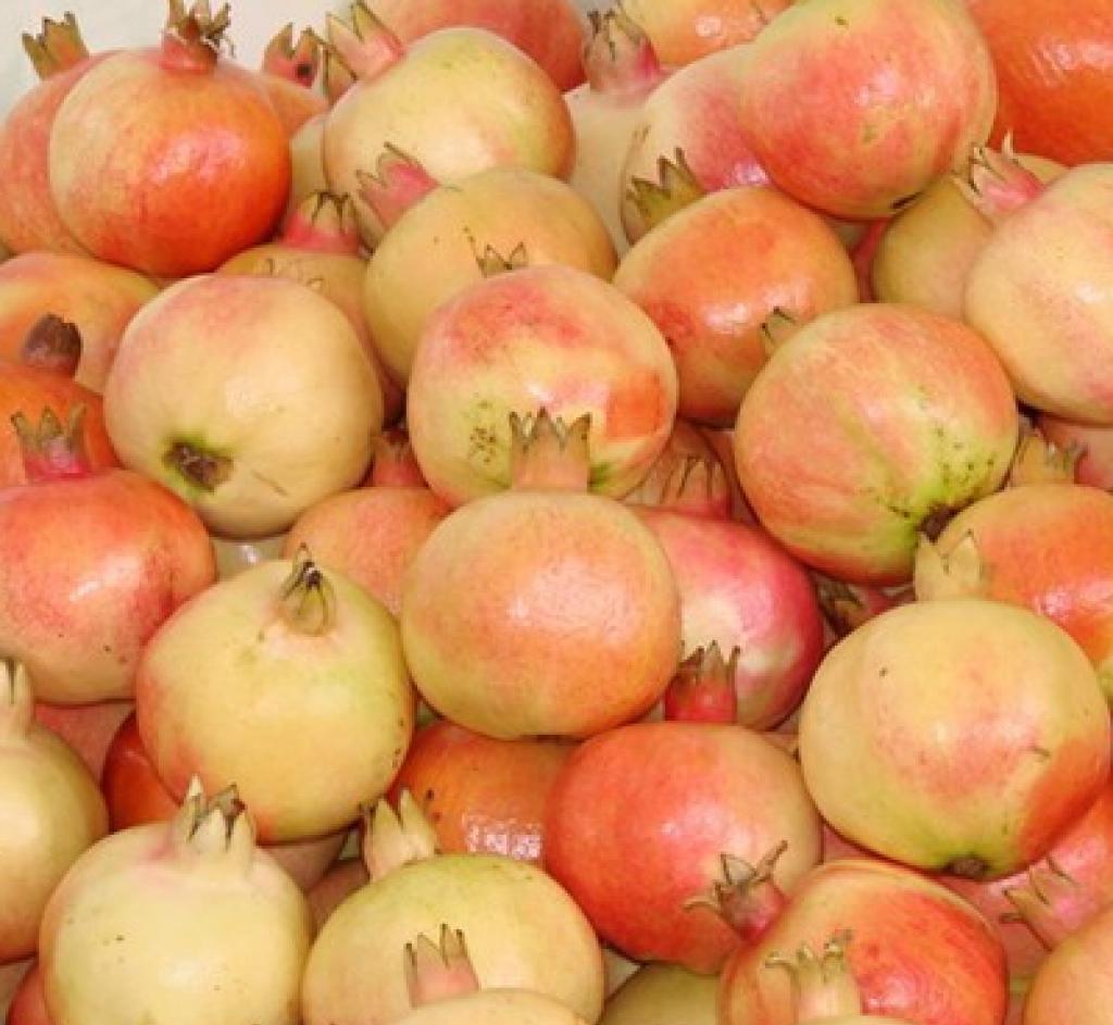 土豆泥翡翠卷的做法【太阳成集团tyc7111cc】(图2) 太阳成集团tyc7111cc