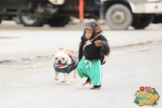 上市公司卖房成风:逾百家参与 多数为粉饰业绩|太阳成集团tyc7111cc(图3) 太阳成集团tyc7111cc