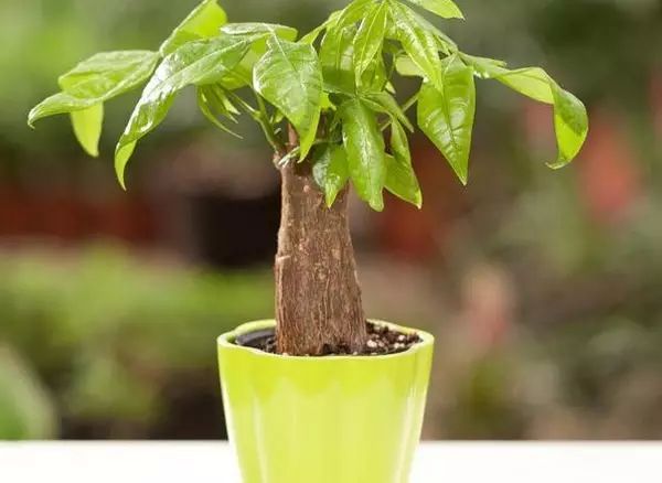 ‘太阳成集团tyc7111cc’万通地产:预计2019年归属股东净利润5.5亿元至6.5亿元(图1) 太阳成集团tyc7111cc