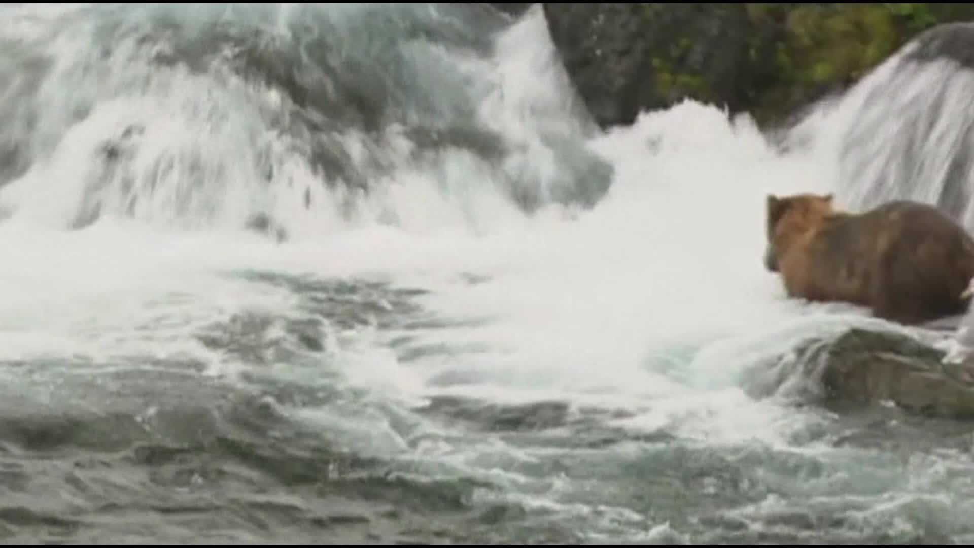 太阳成集团tyc7111cc-顾客的入住体验是英豪华酒店业务驱动力(图4) 太阳成集团tyc7111cc