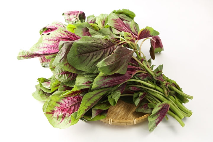 太阳成集团tyc7111cc