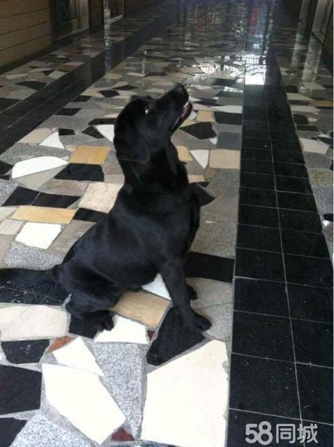 太阳成集团tyc7111cc