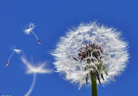 太阳成集团tyc7111cc