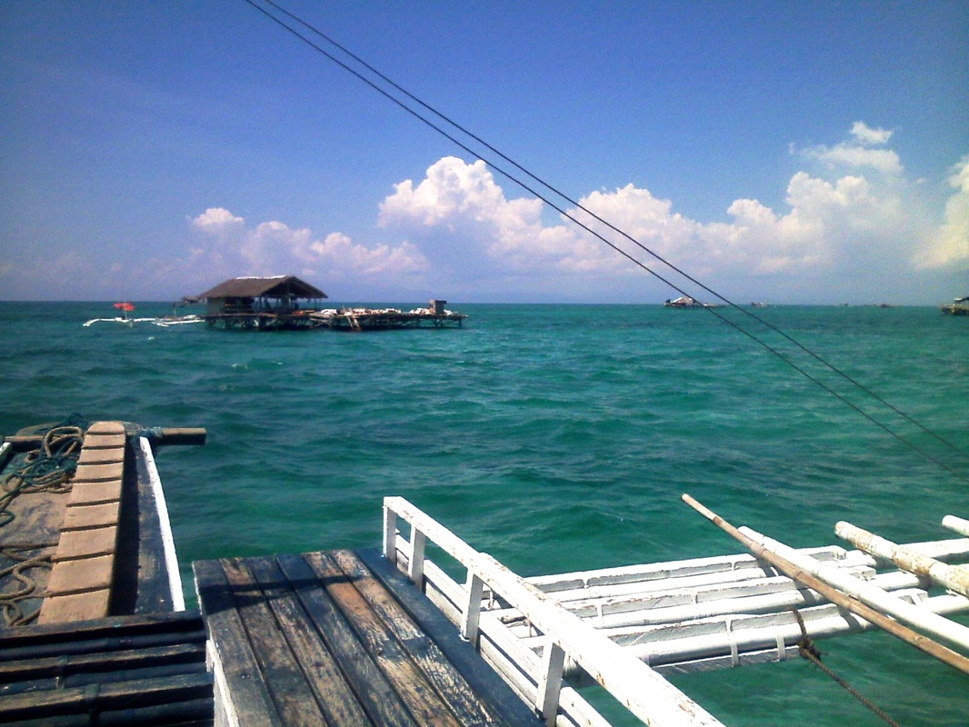 太阳成集团tyc7111cc