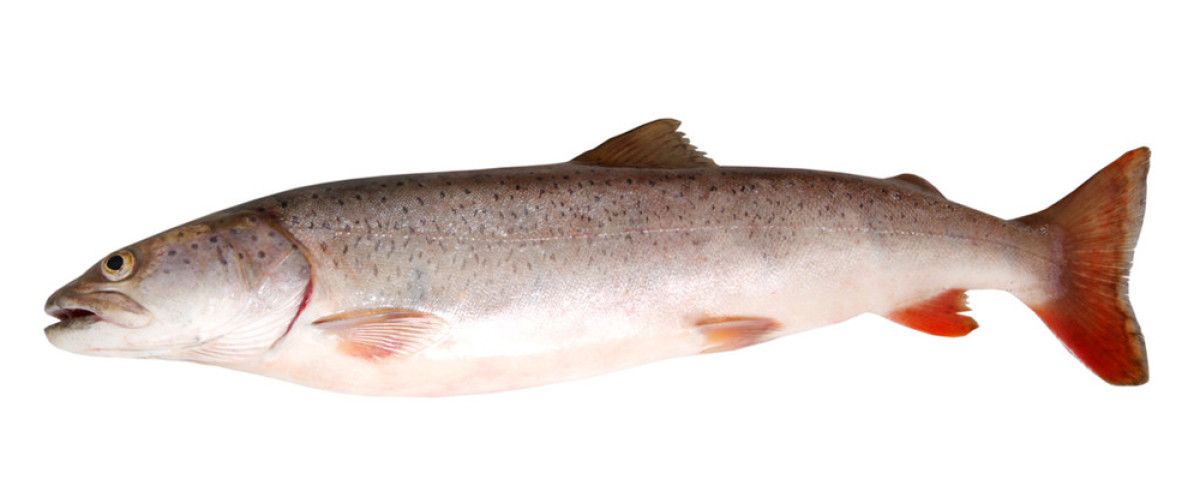 旭辉当代置业7.78亿摘地-太阳成集团tyc7111cc(图1) 太阳成集团tyc7111cc