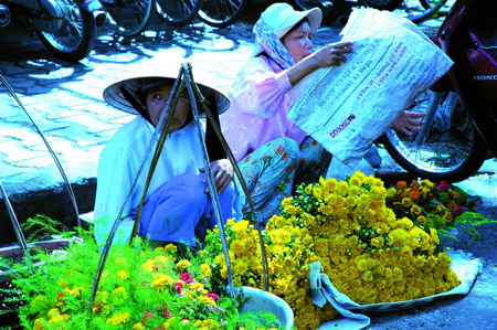 2019双11战报:良品铺子巴基斯坦松子卖了30万包【太阳成集团tyc7111cc】(图2) 太阳成集团tyc7111cc