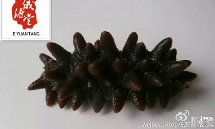 太阳成集团tyc7111cc_中国未来将现近50座“鬼城” 国土部出手控“鬼”(图1) 太阳成集团tyc7111cc