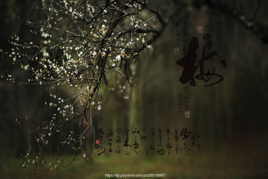 太阳成集团tyc7111cc