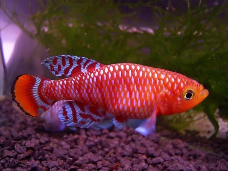 宝能集团:9万只N95口罩已驰援武汉【太阳成集团tyc7111cc】(图1) 太阳成集团tyc7111cc