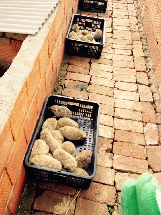 太阳成集团tyc7111cc