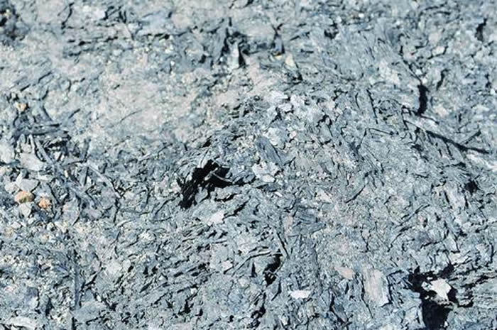 太阳成集团tyc7111cc