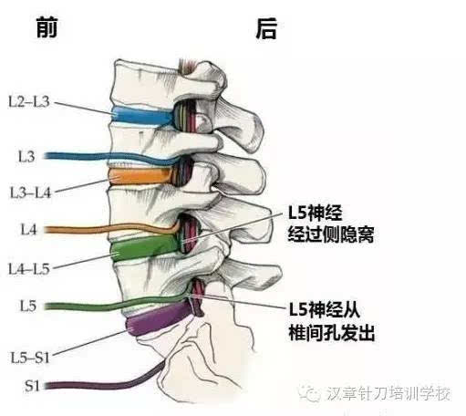 享见面酱爆太平蛋的做法:太阳成集团tyc7111cc(图2) 太阳成集团tyc7111cc