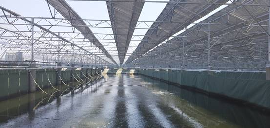 万通地产:江泓毅辞任公司董事长:太阳成集团tyc7111cc(图1) 太阳成集团tyc7111cc