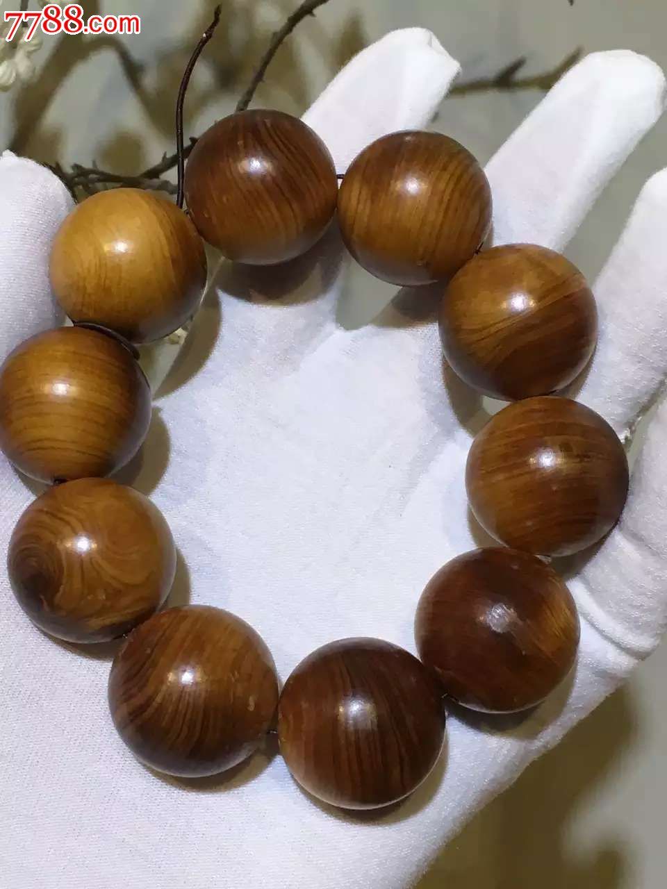 太阳成集团tyc7111cc