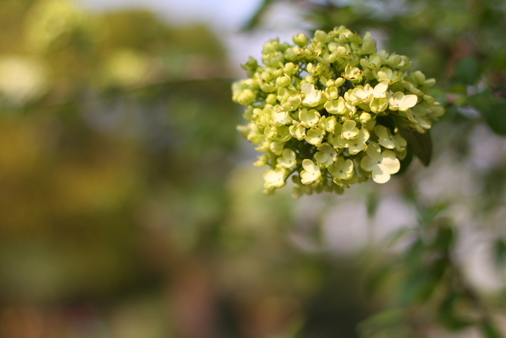 太阳成集团tyc7111cc