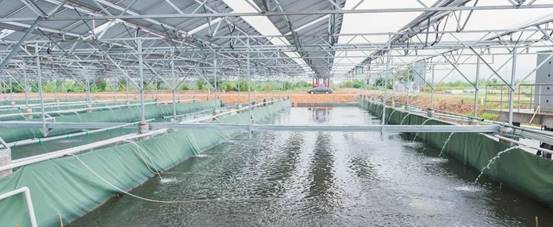 太阳成集团tyc7111cc