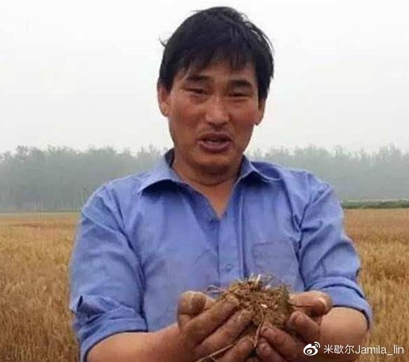 【太阳成集团tyc7111cc】南乳汁土豆的做法(图2) 太阳成集团tyc7111cc