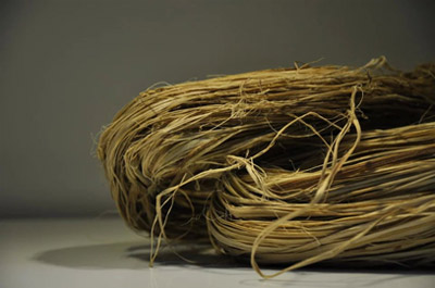 太阳成集团tyc7111cc