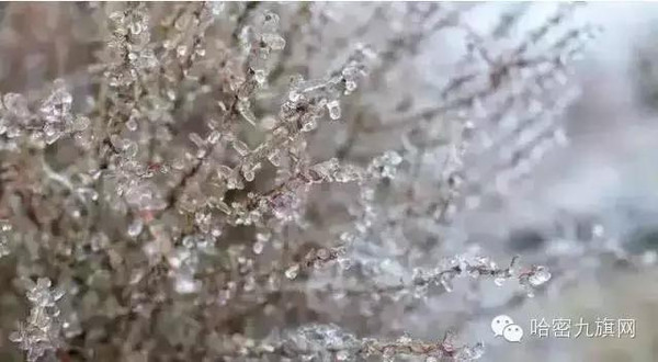 太阳成集团tyc7111cc