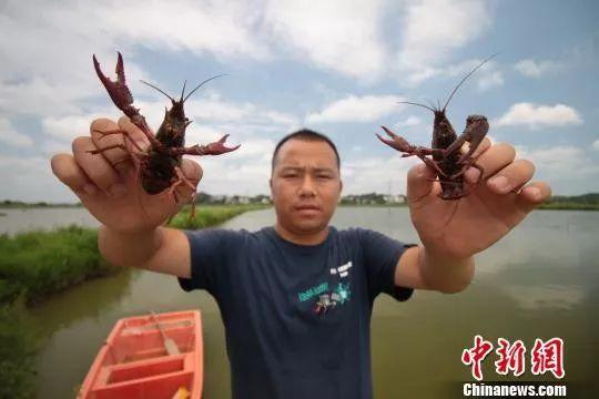 太阳成集团tyc7111cc