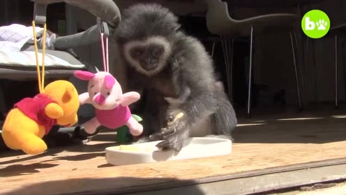 太阳成集团tyc7111cc