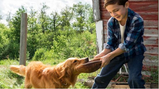 太阳成集团tyc7111cc